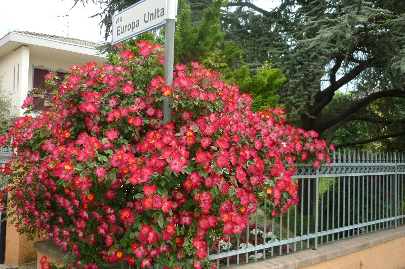 Viale Europa